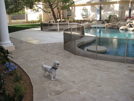 Life Saver Pool Fence of Tucson project